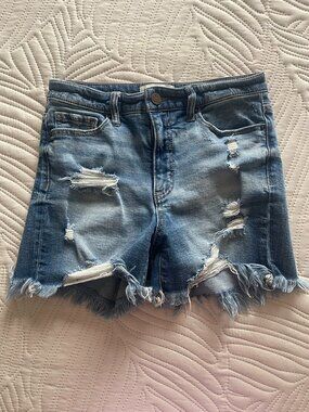 BKE Buckle Denim Shorts Womens 27 Parker Highrise Distressed Frayed Hem